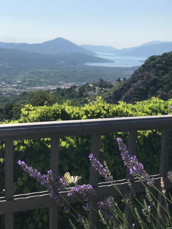 Villa Nikoleta Kotor Exterior foto