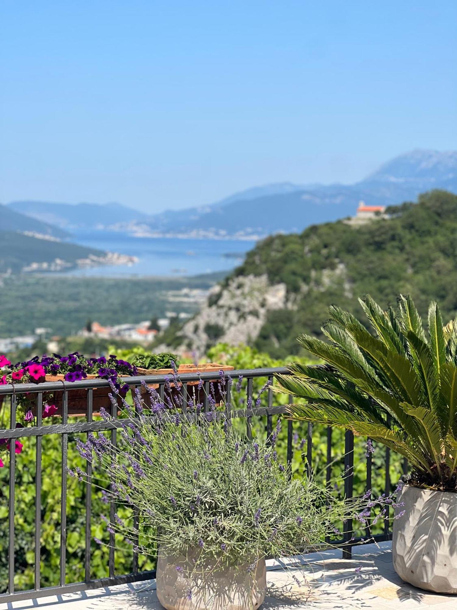 Villa Nikoleta Kotor Exterior foto
